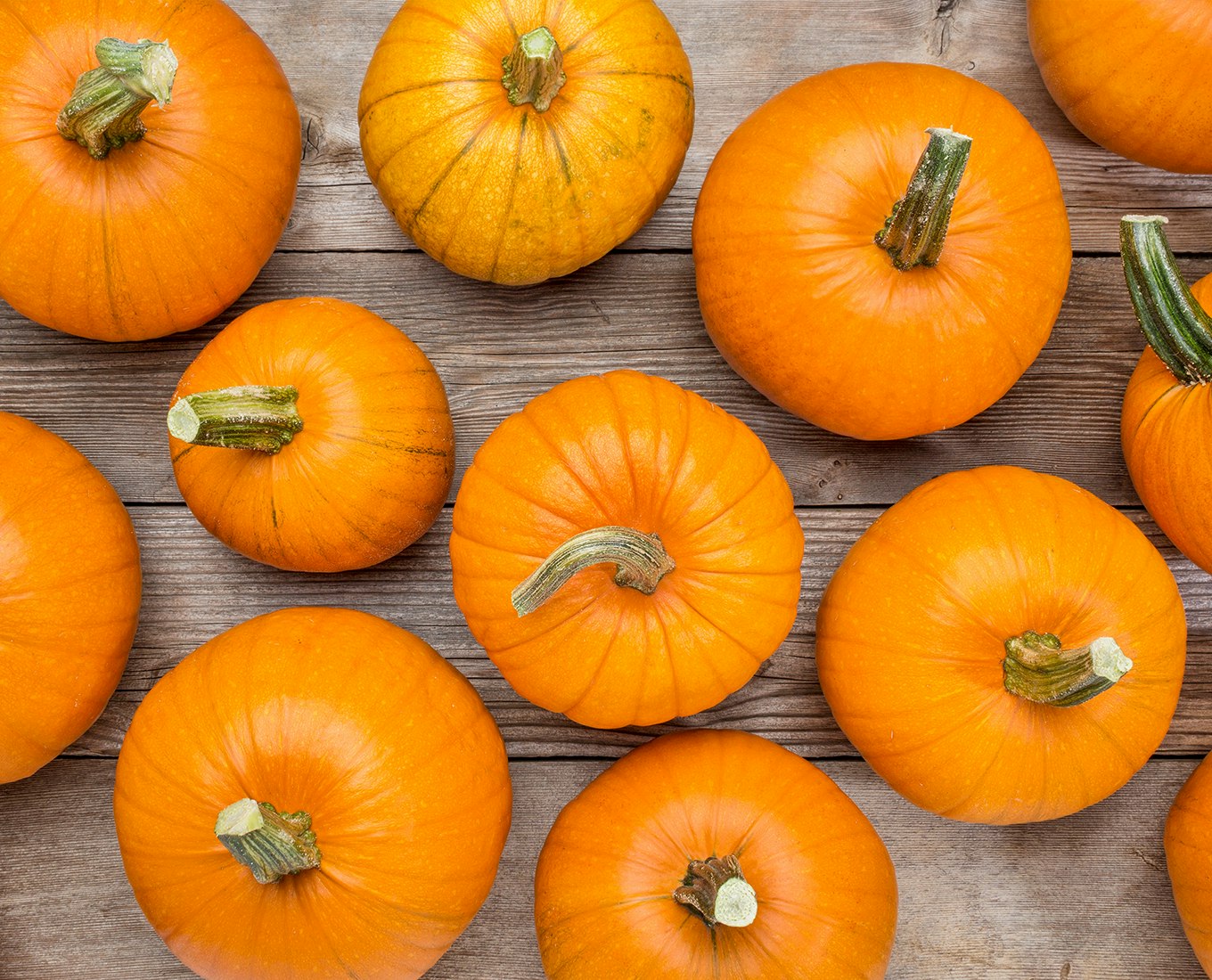 Pressure Canned Pumpkin or Winter Squash