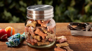 Personalized Dog Treat Ball